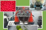 Pharmaceutical Gelatin Softgel Capsule Machine , medicine packing machine 43470