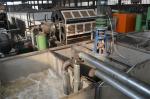 Paper Apple Tray / Egg Tray Manufacturing Unit With Low Energy Consumption