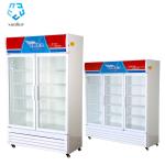 An Economical Refrigerated Freezer Display Cabinet Direct Cooling High-Capacity