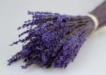 50cm 60cm Preserved Fresh Flower Dry Lavender Bunches OEM