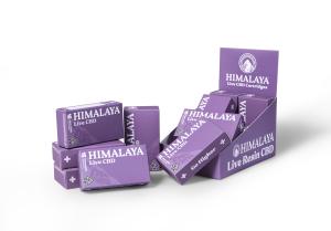 Quality Soft Touch Lamination Paper Cardboard Display Carton Boxes CMYK Printing wholesale