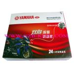 2 way motorcycle alarm system