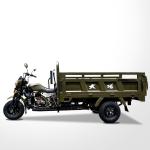 DAYANG 5.0-12 Tire Size Motorized Tricycle for Food Delivery in Tanzania Market