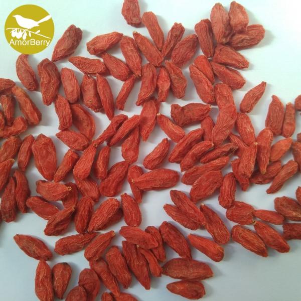 Dried chinese medlar and origin ningxia goji berry Organic Natural Chinese