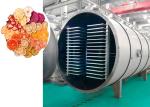 PLC Control Freeze Dryer Pharmaceutical Industry 500Kg/Batch