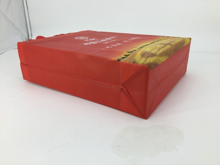 Manufacturer custom logo color printing non woven bags with handle/100gsm