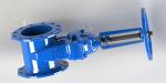 Rubber Wedge Rising Stem FBE Coated Water Gate Valve