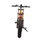 48V Electric Bike with 13Ah Battery 750W 1000W Motor 7 Speed 20" Tire and 180KG
