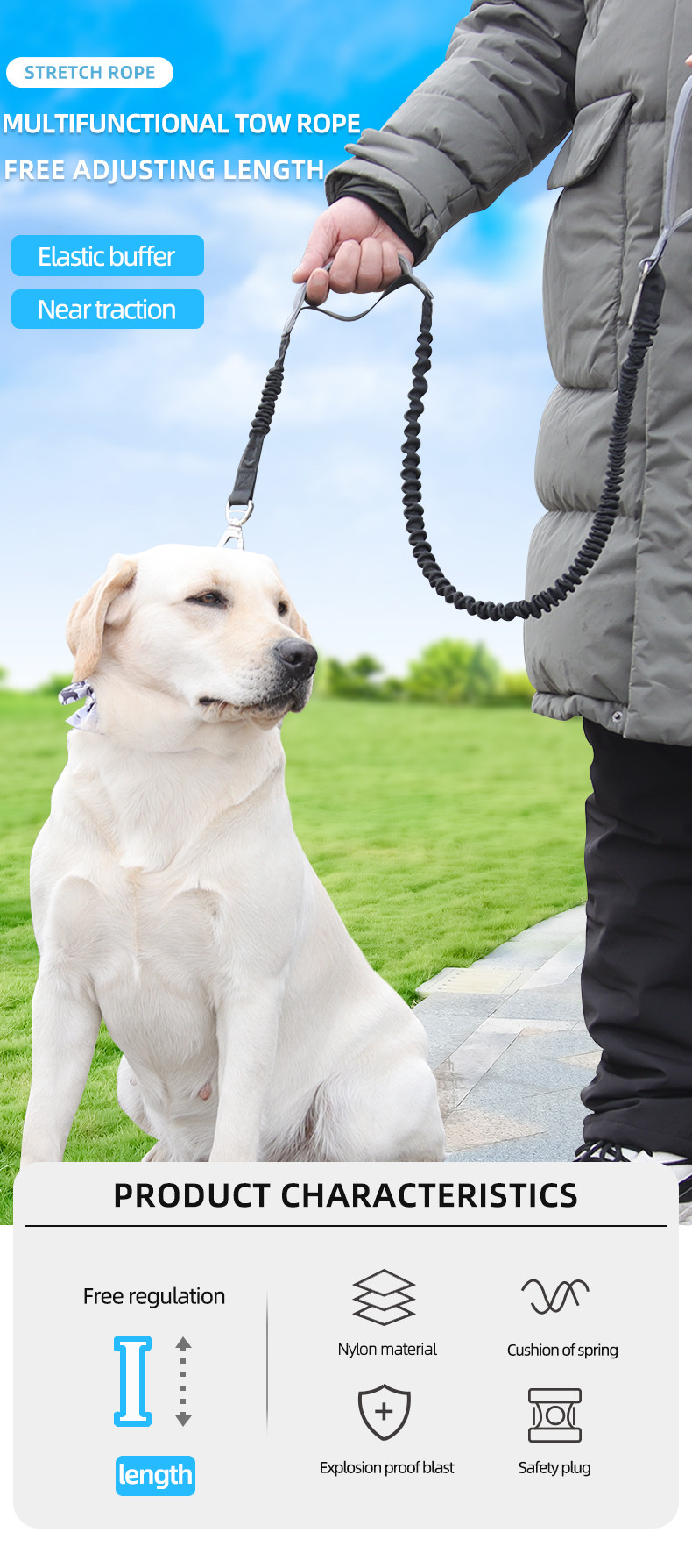 Pet Multifunctional Contrasting Color Leashes Imitation Nylon Hollow Webbing Explosion Proof Dog Walking Leash