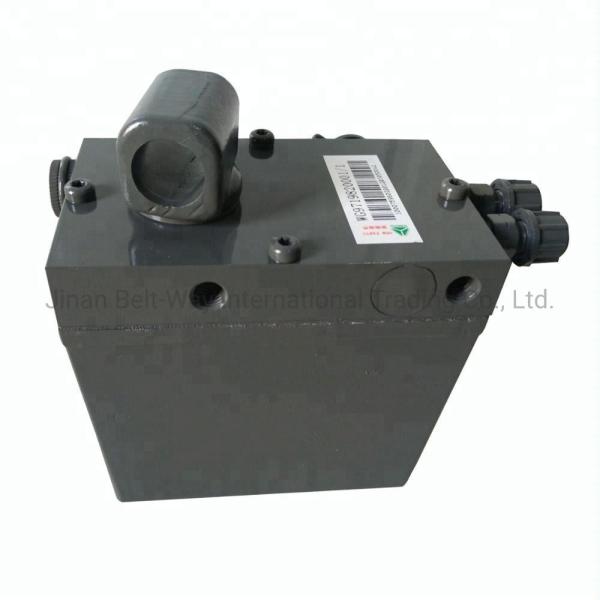 Truck Spare Parts 2020 Cabin Lifting Pump Wg9719820001 with ISO9001 Certificatio
