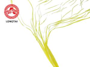 Quality Fire survival Cable Polypropylene Filler SGS certified 30KD Non Twisted PP Filler Yarn wholesale