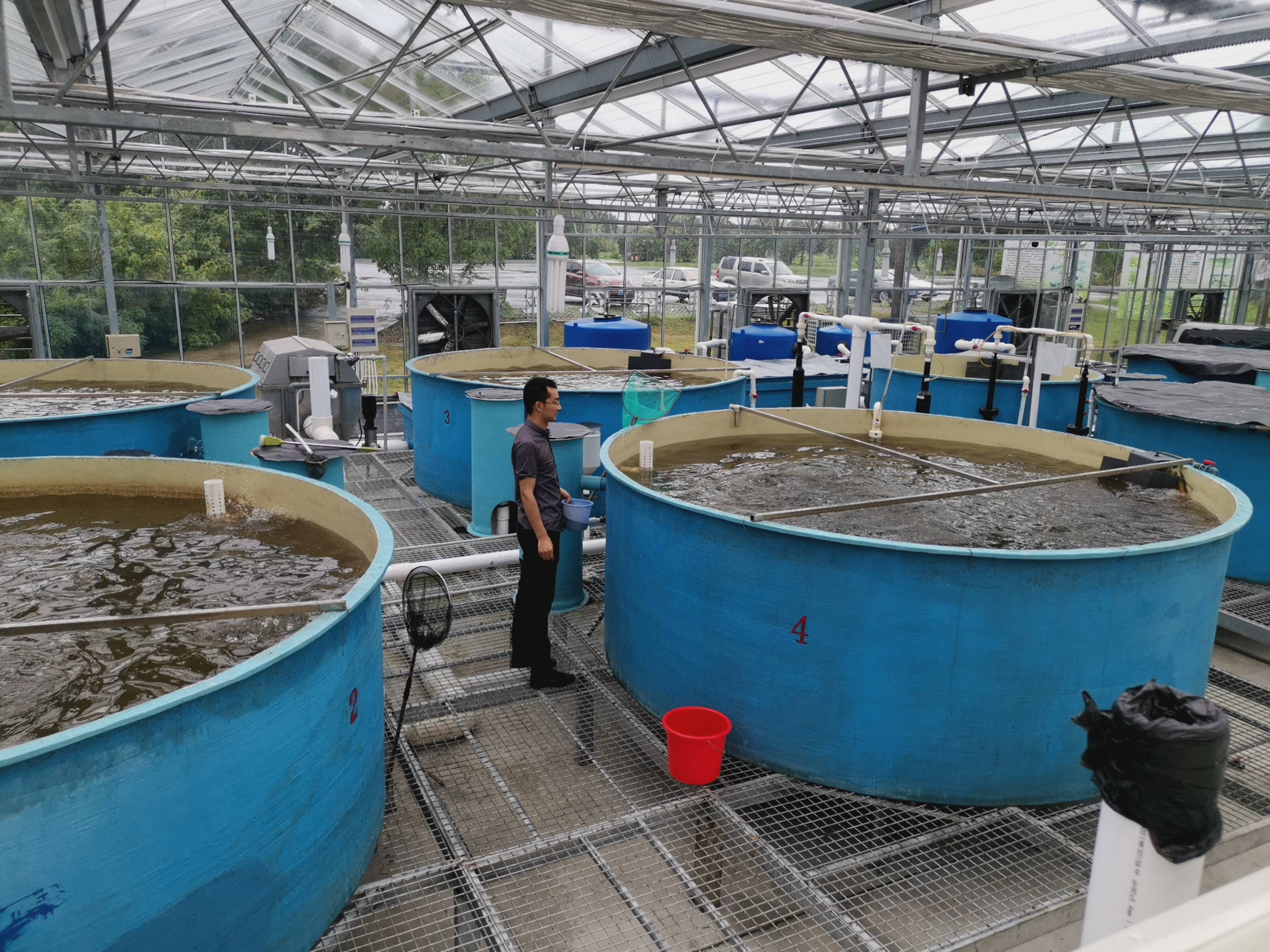 80 kg Weight Air Source Nano Bubble Generator Machine for Aquaculture Water Treatment