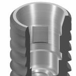 ITI Straumann Bone Level® SC Tapered Implant ∅ 2.9 Internal Titanium Premill Blank 10mm Engaging Arum / Dess Holder