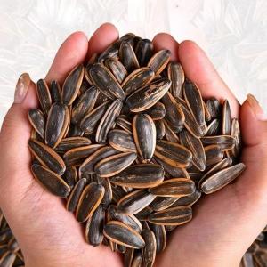 Quality Popular in Amazon: delicious and healthy snack roasted sunflower seeds bulk sale wholesale