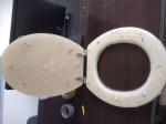 sanitary ware MDF,WOOD,MOULD toilet seat,,shower room,shower rose,sanitary