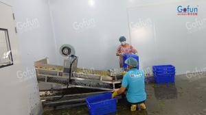 NFC juice puree production line aseptic filling EU certification