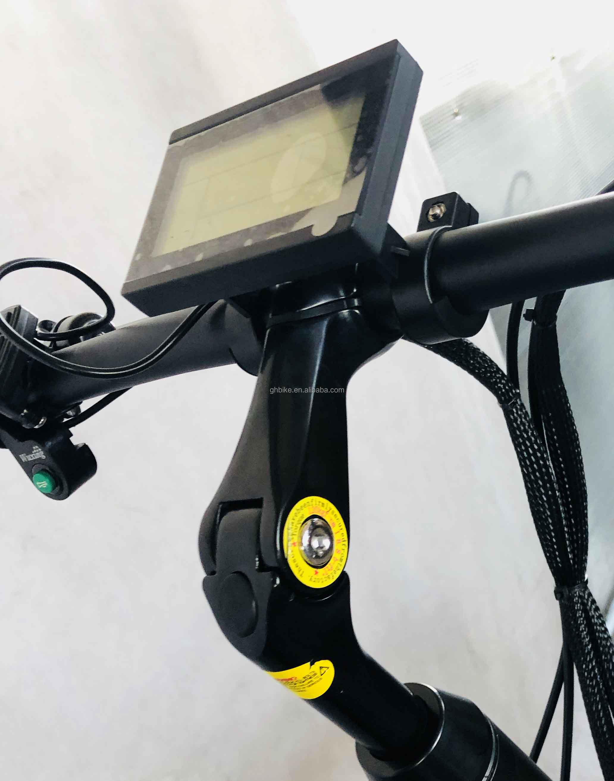 48V 750W Front Motor 24" Adult Electric Tricycle with 17AH Lithium Battery and Fat Snow Tires