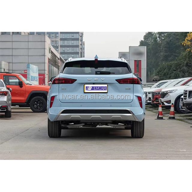 Efficiency Never Looked This Good Wei Mocha Hybrid Electric SUV with 2915 Wheel Base