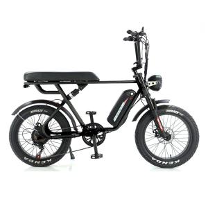 Quality Full Suspension Rear Hub Motor Electric Bike With 48v 1000w Power And REMOVABLE BATTERY wholesale