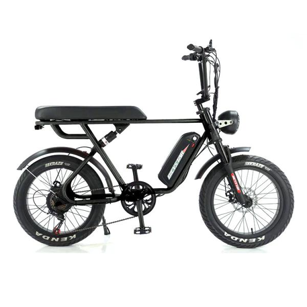 Full Suspension Rear Hub Motor Electric Bike With 48v 1000w Power And REMOVABLE