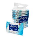 Antiseptic Antibacterial Sanitizing Disinfectant Sterilization Wipes Benzalkoniu