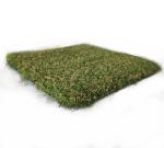 Indoor SGS Artificial Golf Turf Grass 15mm Putting Green