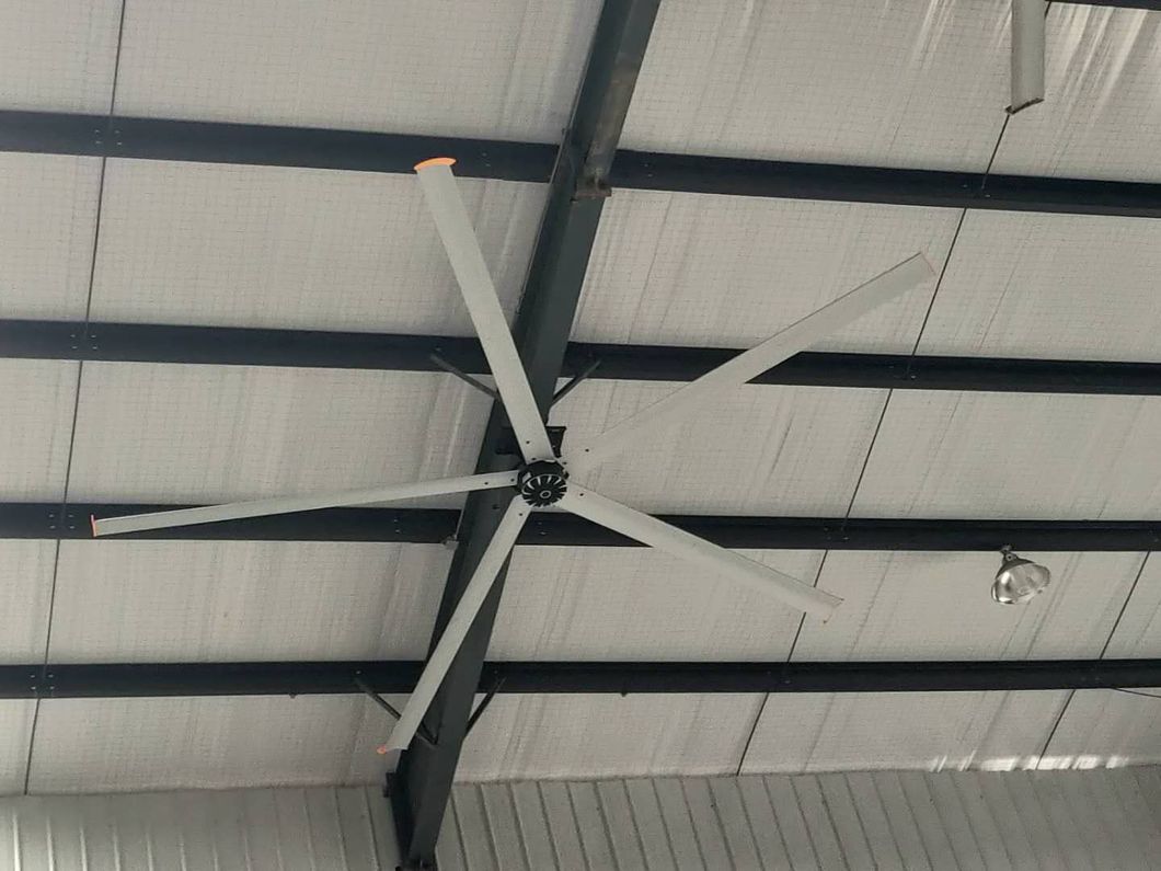 Industrial Big Ceiling Fan for Warehouse