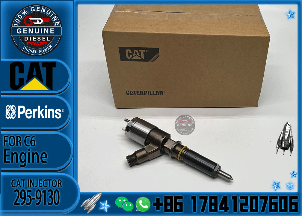 Common Rail C6 Diesel Engine Fuel Injector 317-2300 326-4700 295-9130 10R7675
