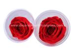 Ecuador Preserved Rose Head Long Life Roses For Party Event Decoration