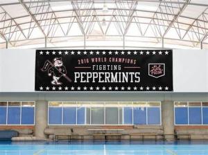 Quality Single Sided Or Double Sided Indoor Display Stands Screen Printed 100% Polyester wholesale
