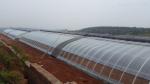 Quilted Outside Insulation Professional Solar Agricultural Greenhouse for Flower