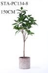 Low - Maintance Artificial Rubber Tree Evergreen Plant Modern Lifestyle