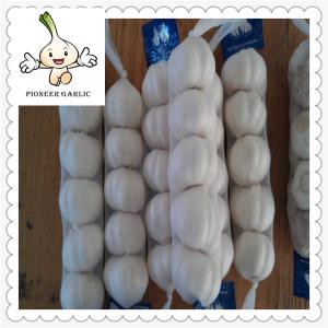 Quality New Crop Best Fresh Garlic Price 5cm size fresh white garlic price wholesale
