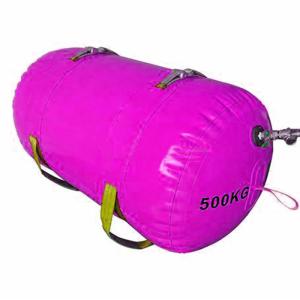 Quality OEM Commercial Lifting Bags , PVC Coating Fabric Parachute Lifting Bags wholesale