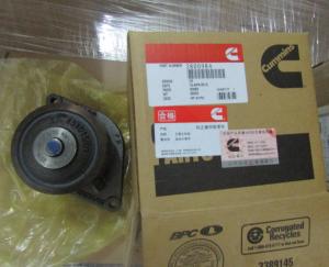 Quality Cummins ISDE water pump 3800984 wholesale