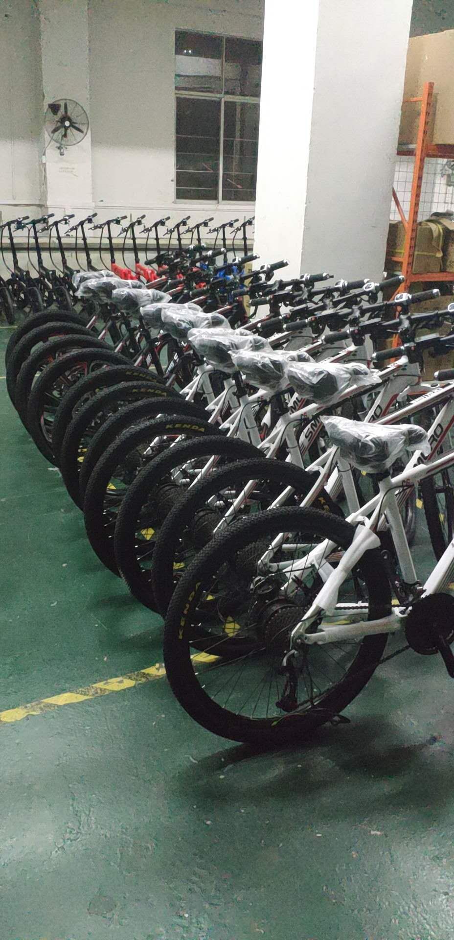 Fashionable Electric Assist Mountain Bike For Adult 150kg Max Load