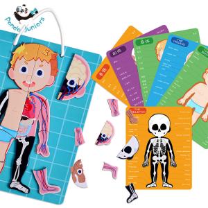 Quality Educational Human Body Puzzle Anatomy Toys Logical Thinking Gifts For Preschoolers wholesale