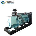 LPG Gas Generator Price