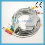Schiller One Piece Series EKG Cable With Lesdwires