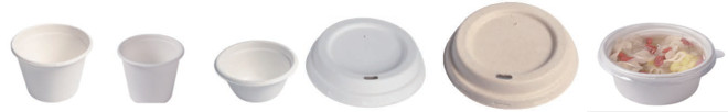 Biodegradable Sugarcane Bagasse Cups ,12oz Compostable Cups With Lids