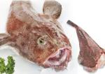 Original Color Fried Monkfish Lophius Litulon Latin Name 500 / 700