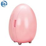 100V To 240V Mini Fridge For Skincare Products 42W 10L