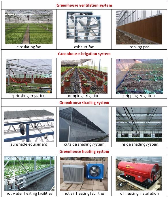 Customized Multi-span Vegetable Grow Tunnel Greenhouse for Vegetable Cultivation