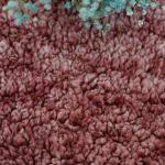 Blue Shu Velveteen Fabric 180gsm 100% Polyester Single Side Back For Pajama Coat