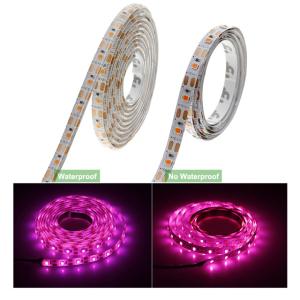 Quality Red Blue 4:1 5m Waterproof Full Spectrum LED Strip wholesale