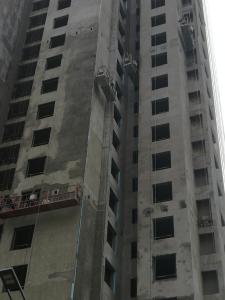 Quality Painting steel ZLP630 wire rope screw type end stirrup hoist powered suspended platform wholesale