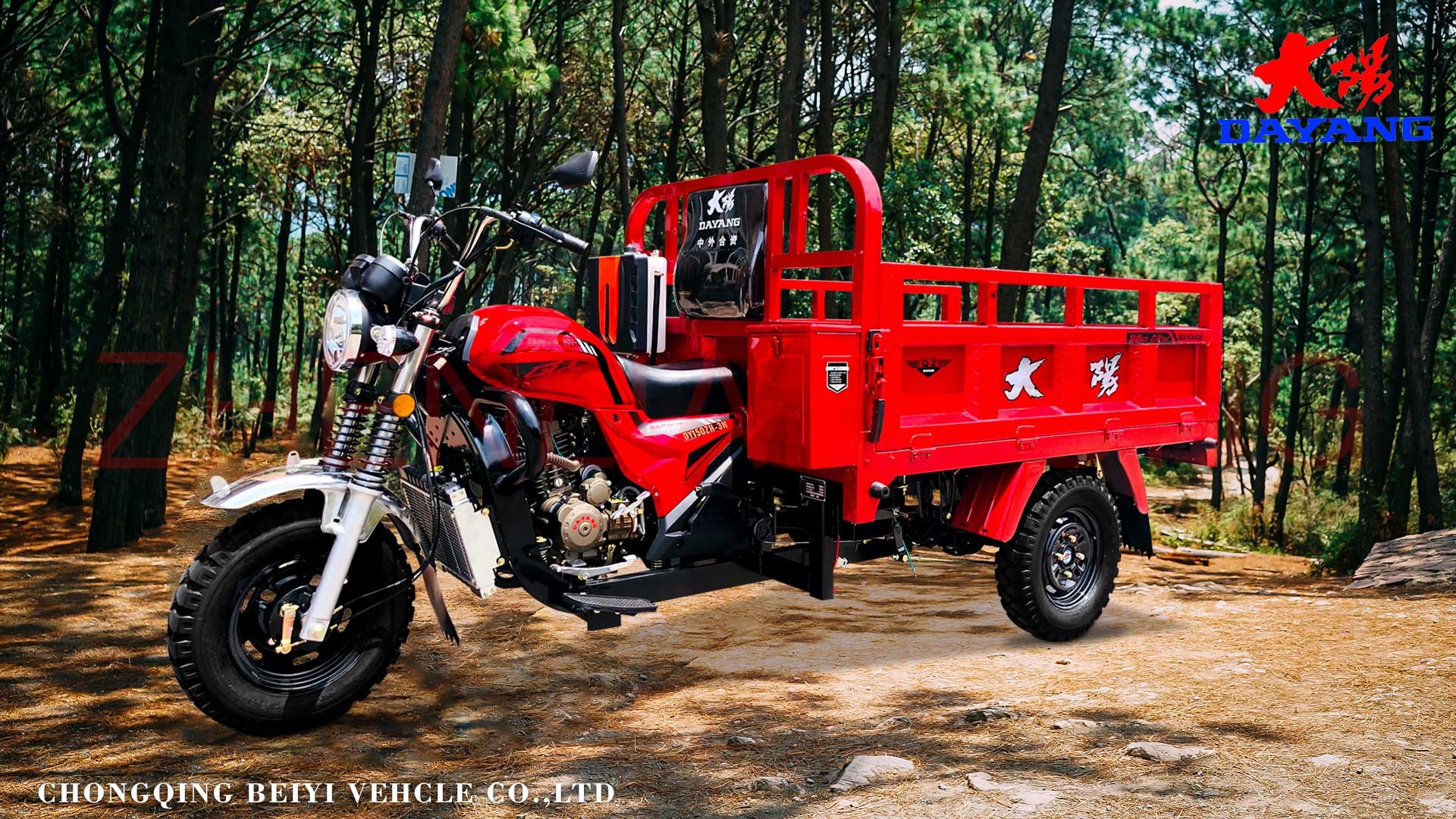 DAYANG High Stability Sales Cargo Tricycle with Full Float Belt and Changan Rear Axle