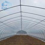 Agricultural Single Span Tunnel Strawberry PE Greenhouse Tunnel Plastic