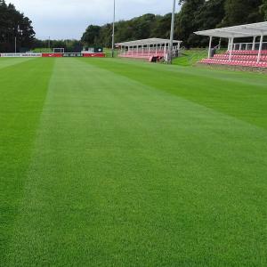 Quality Stadium Outdoor Football Synthetic Grass For Mini Soccer Flooring Court wholesale