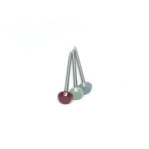 Quality 2.0MM Wire Diameter Plastic Head 316 Stainless Steel Nails wholesale